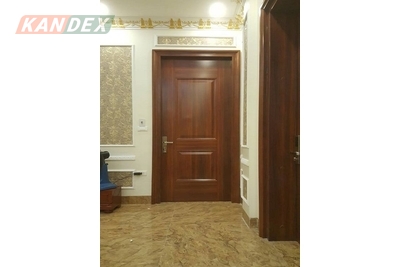 Cửa thép vân gỗ có bao nhiêu mẫu đẹp, sang trọng?