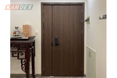 Cập nhật các mẫu cửa thép vân gỗ hot nhất năm 2024